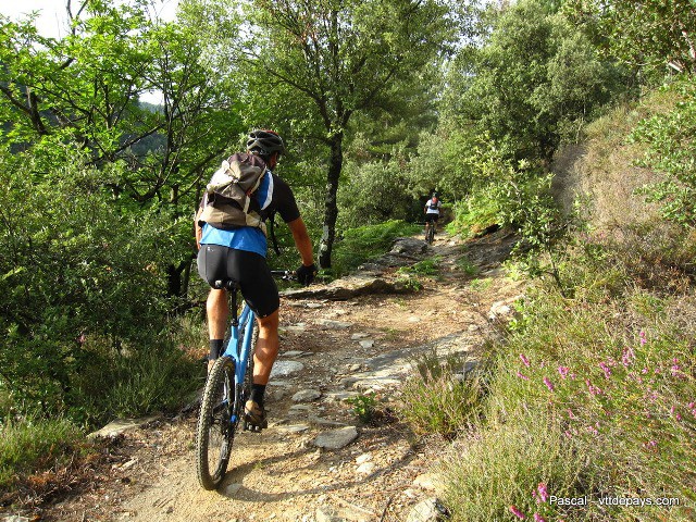 randonnee vtt fameck